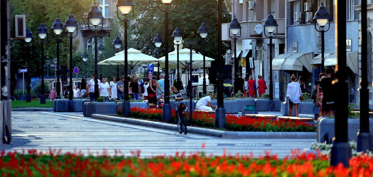 Red Rouz Διαμέρισμα Βελιγράδι Εξωτερικό φωτογραφία